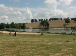 De omgeving