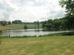 De omgeving