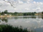 De omgeving