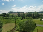 De omgeving