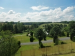 De omgeving