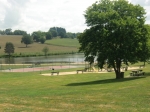 De omgeving